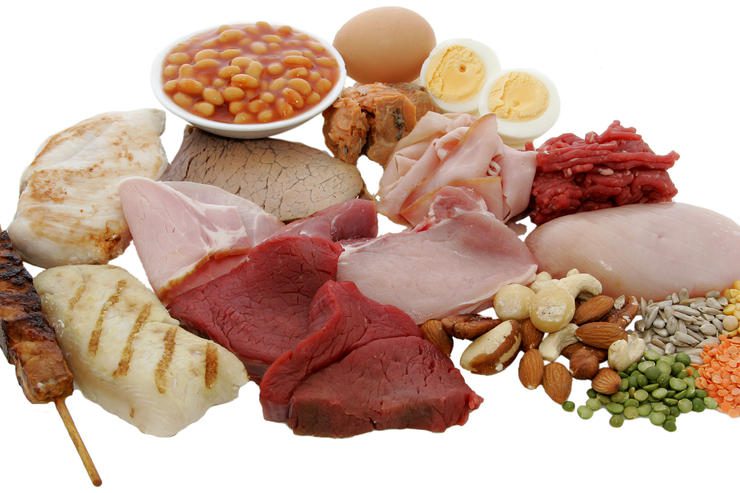 What is protein for