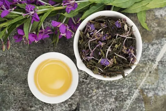 Ivan-tea is an elixir of health, longevity and vigor
