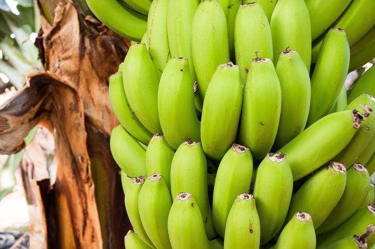 How to lose weight in 3 days with bananas