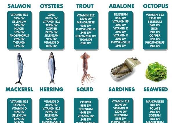 Océano de beneficios: pescado y marisco en la comida para bebés
