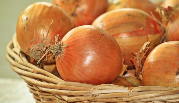 Properties of the onion that you didn&#8217;t know about