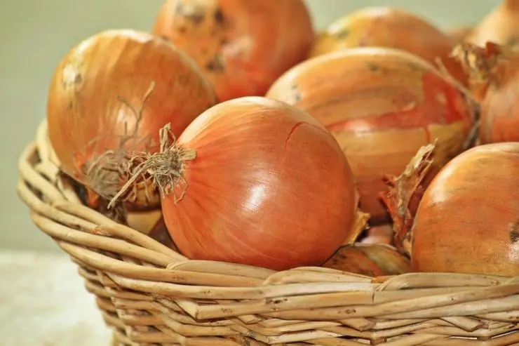 Properties of the onion that you didn&#8217;t know about