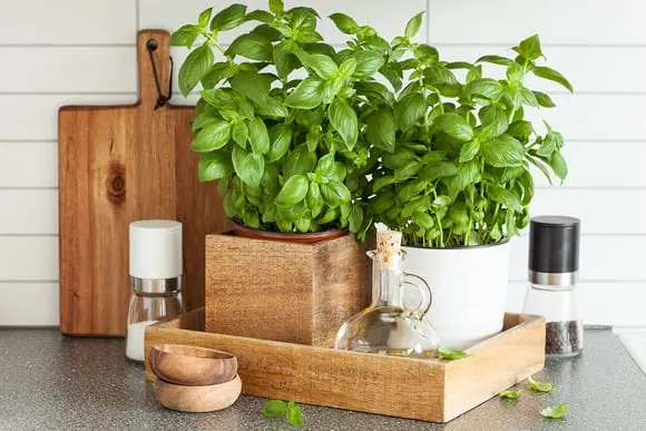 Spring Reboot: updating the kitchen interior at no extra cost