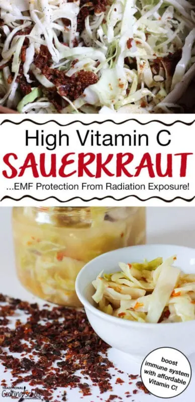 Vitamin charge: the five best recipes for sauerkraut