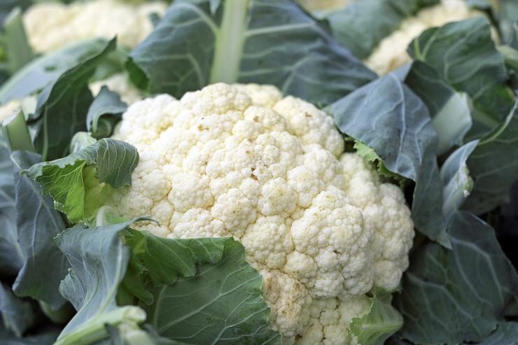 All the facts about the benefits of cauliflower