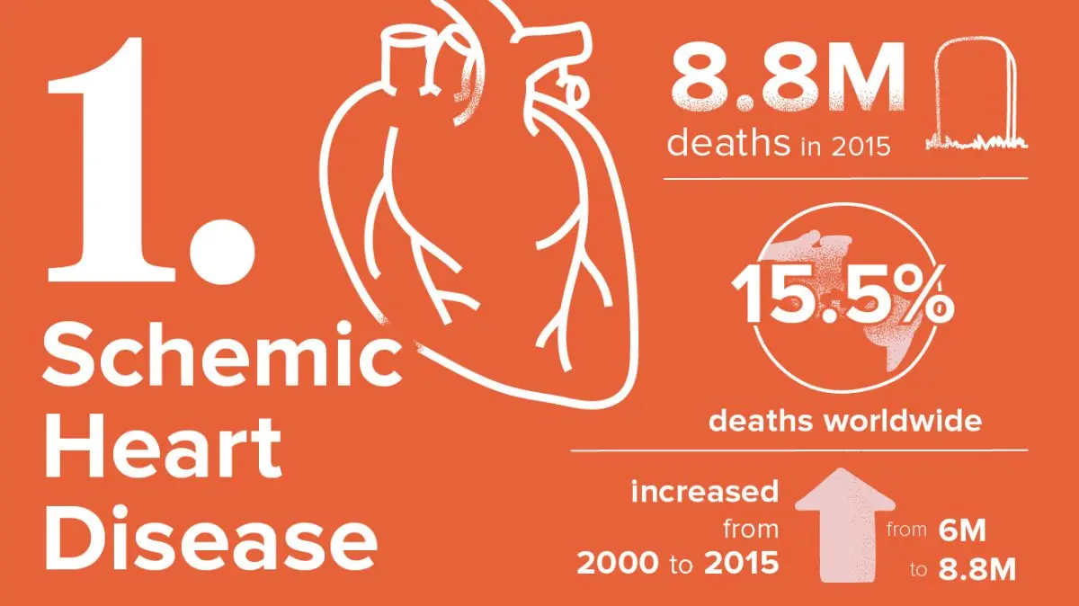 10 deadly diseases in 24 hours or less