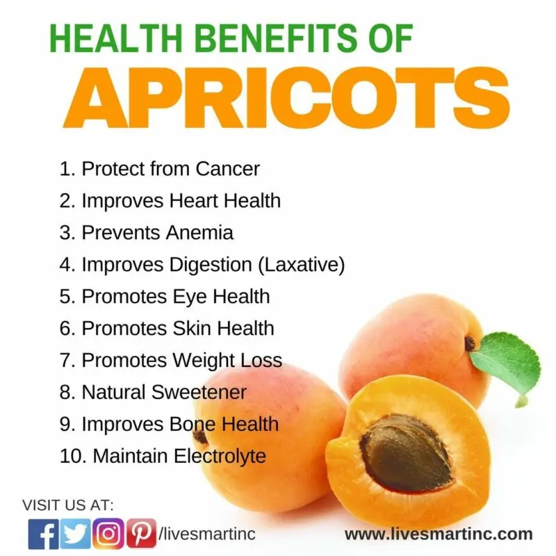 10 health benefits of apricots you didn&#8217;t know about