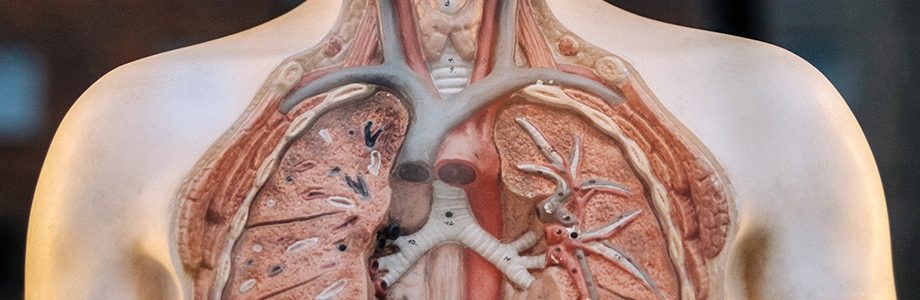 10 mind-blowing numbers on the human body