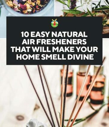 10 natural air fresheners