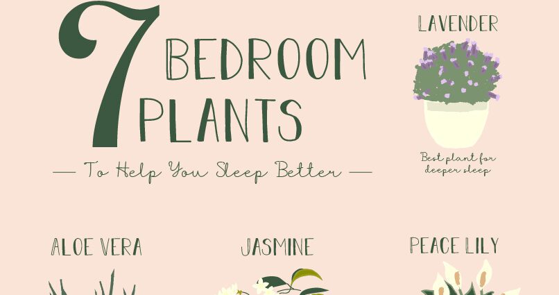 10 rastlin za dober spanec