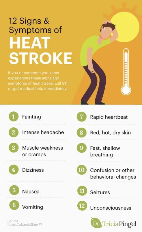 10 symptoms of heat stroke