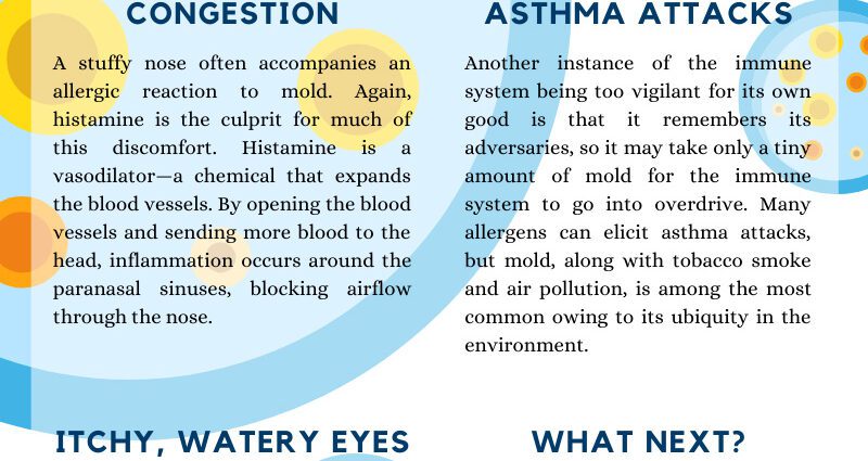 10 sintomi rivelatori di un'allergia