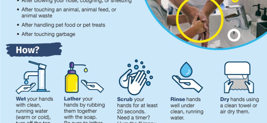 10 things you can wash in the washing machine