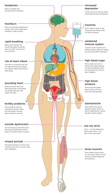 10 negative effects of stress on your health