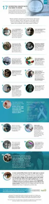 11 encouraging facts about cancer treatments
