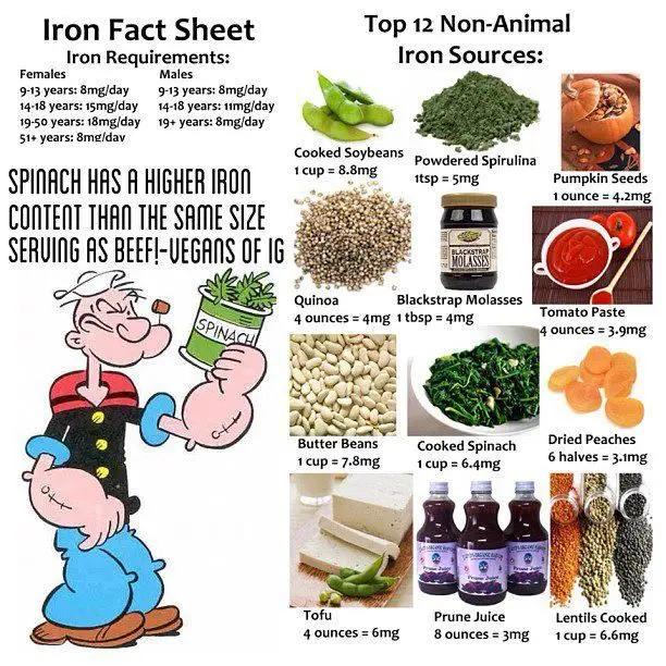 12 foods rich in iron