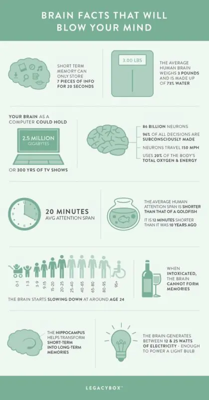 13 cool facts about how our memory changes over time