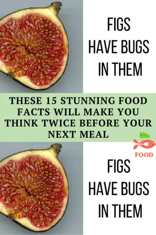 15 food facts that will make you go on a diet