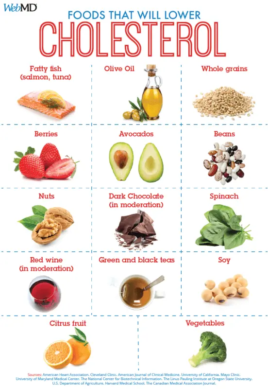 High blood cholesterol diet