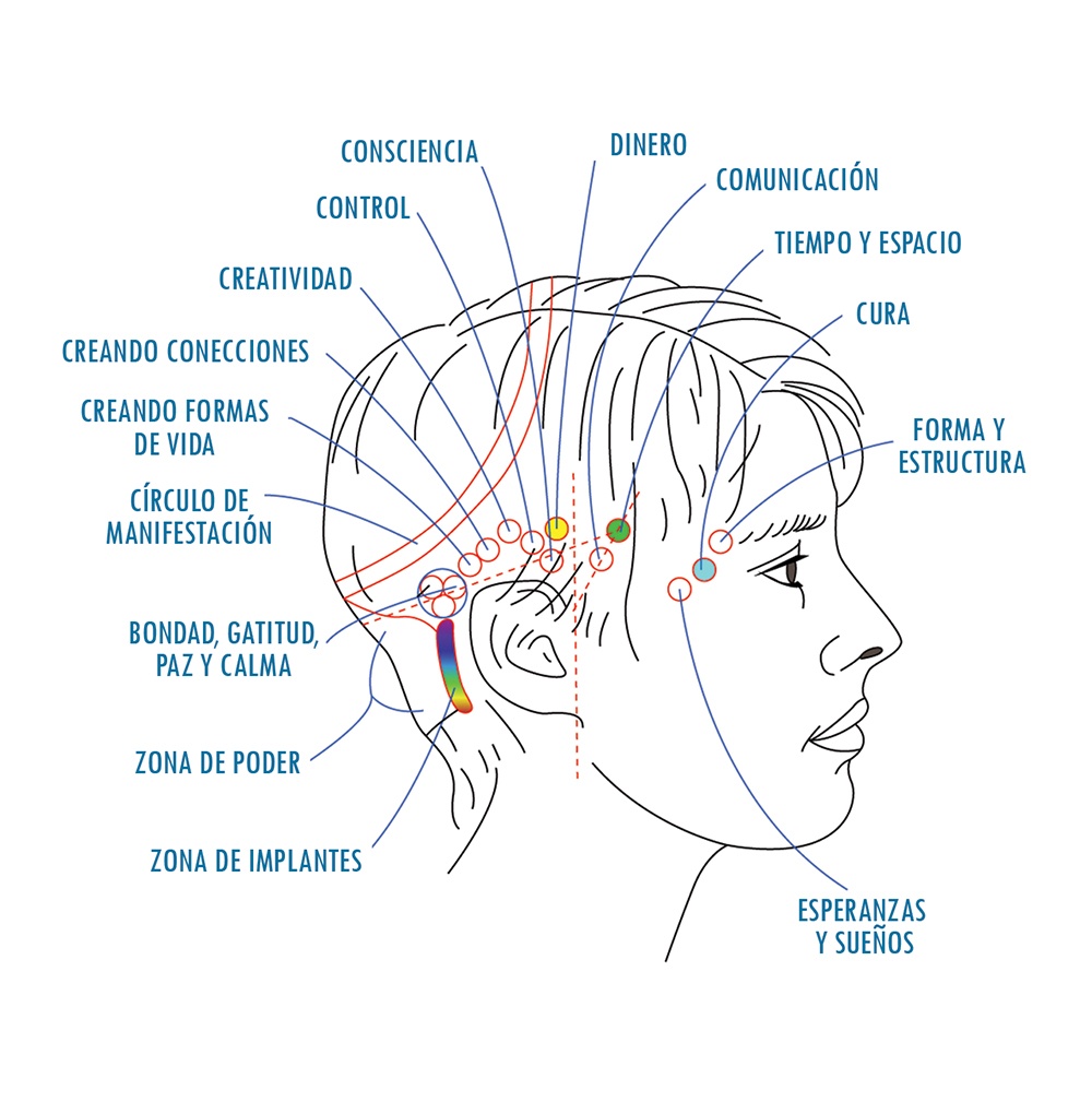 Access bars: 10 facts and a neurologist&#8217;s answer, should you trust this technique