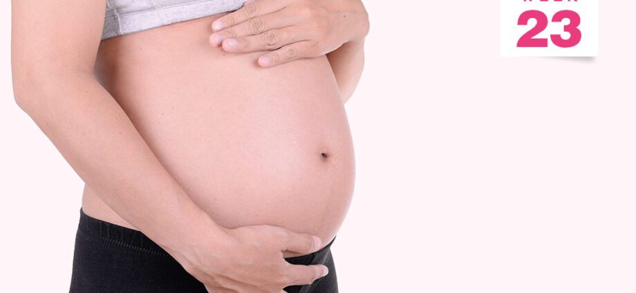 23rd week of pregnancy: what happens to the baby, to the mother, development, belly