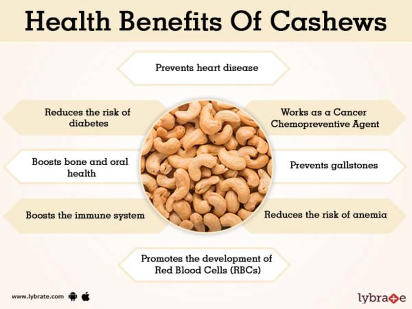 The benefits and harms of cashews for the health of women, men, skin, hair ...