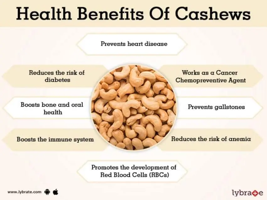 26 useful properties, 7 contraindications, application. The benefits and harms of cashews for the health of women, men, skin, hair