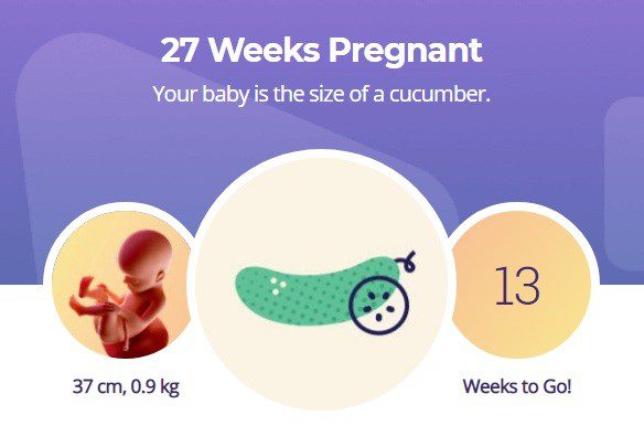 27 тиждень вагітності: розвиток плода, активність, вага, відчуття, консультація