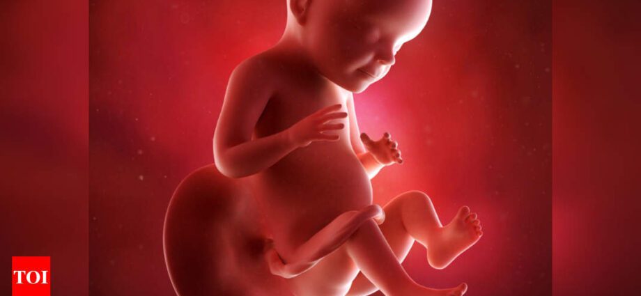 28th week of pregnancy: what happens to the baby, to the mother, fetal development