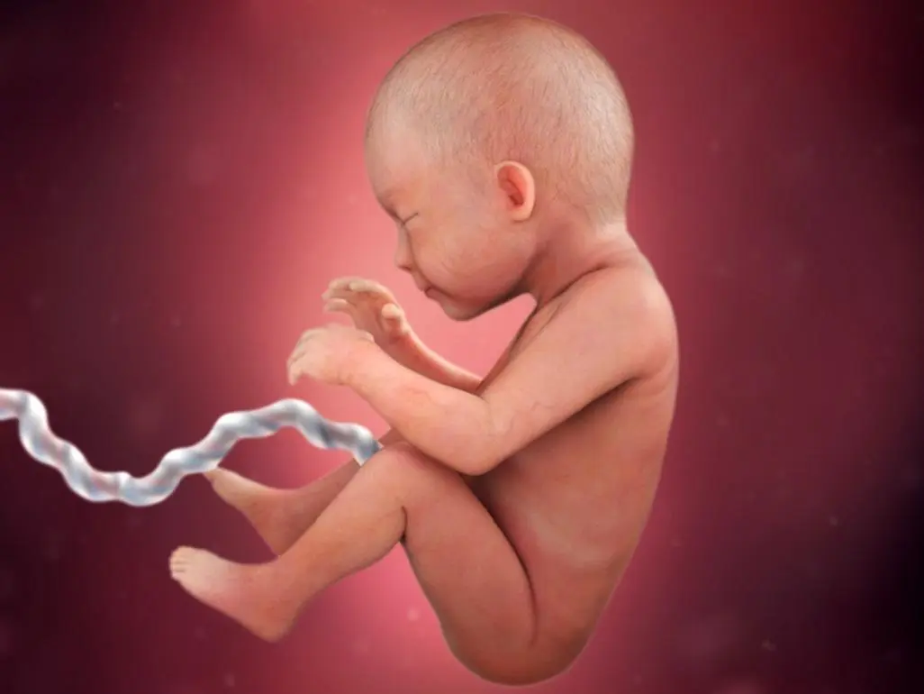 29th week of pregnancy: what happens to the baby, to the mother, fetal development
