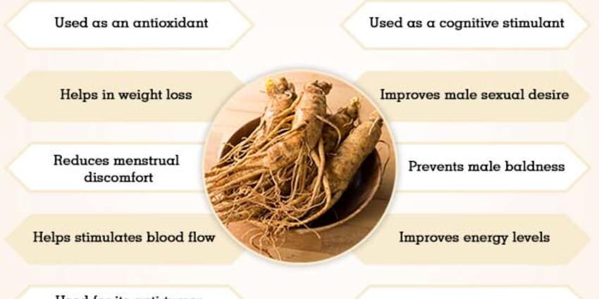 3 health benefits of Ginseng