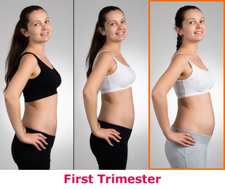 3 mjeseca trudnoće: prve krivulje