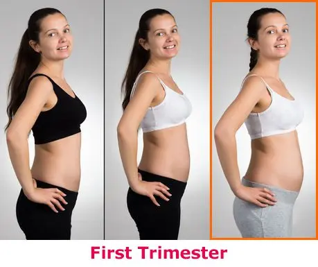 3 months of pregnancy: the first curves