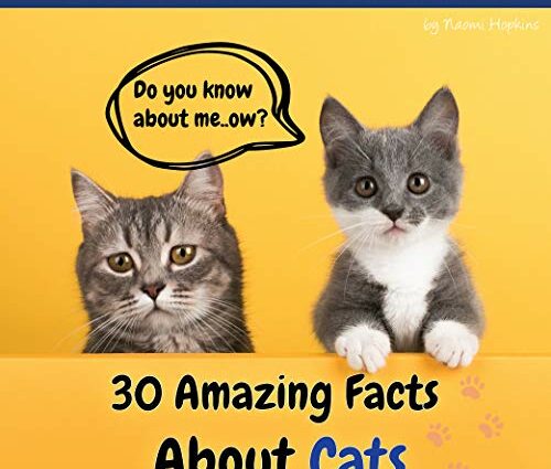 30 невероватних чињеница о мачкама које можда не знате