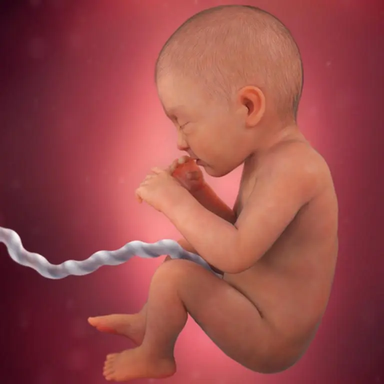 32 weeks pregnant: what happens to the mother, to the baby, the development of the child,