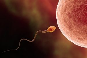 5 amazing things to know about sperm