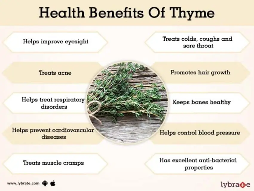 5 benefits of thyme