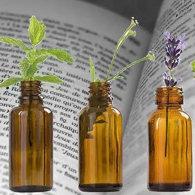 5 essential oils used in cosmetics