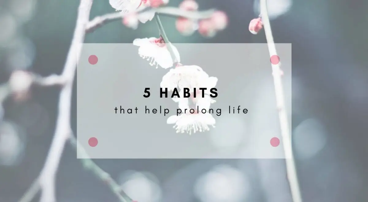 5 good habits that prolong life