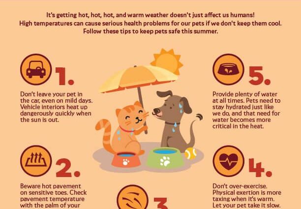 5 tips for our pets to let us sleep well