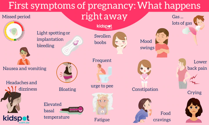 2 week of pregnancy: what comes from conception, signs, discharge, the test will show