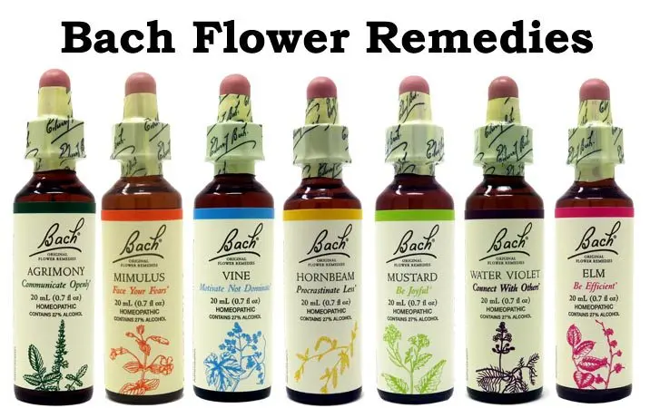 7 benefits of Bach flowers