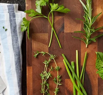 7 herbs that are easy to grow at home