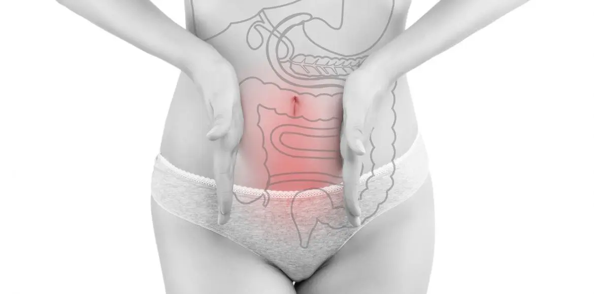 7 plants to fight against constipation