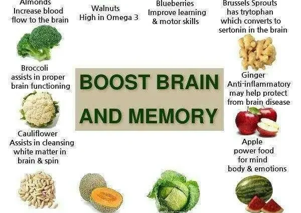 7 superfoods that help the brain