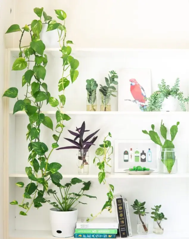 8 plants you shouldn&#8217;t grow indoors