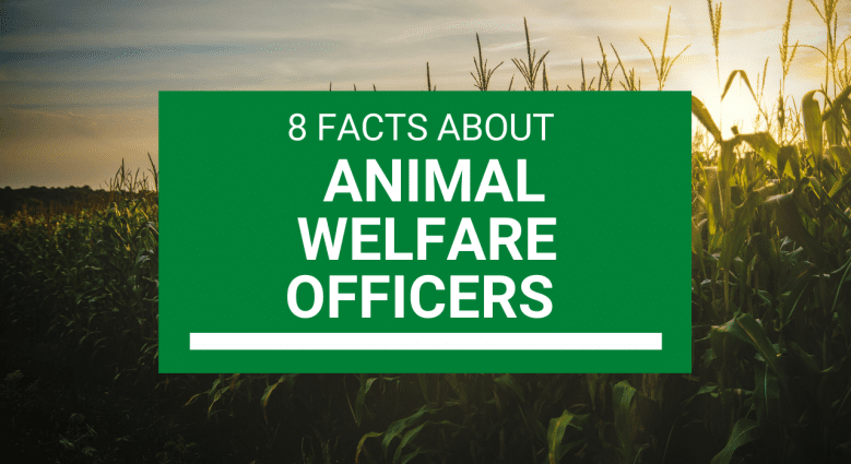 8 stvari koje trebate znati o dobrobiti životinja