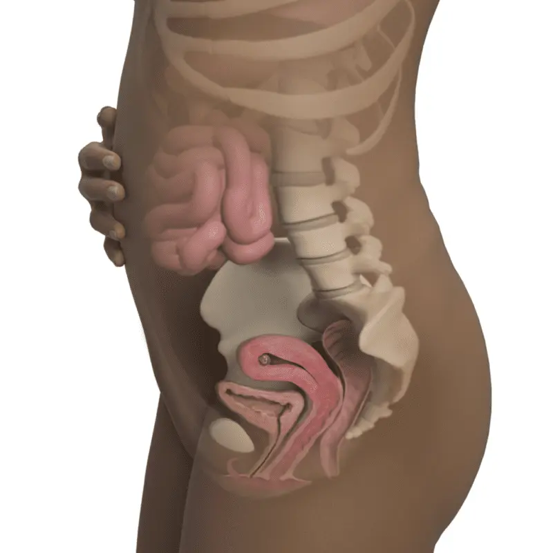 8 week of pregnancy: what happens to the baby, mother, fetal development, belly