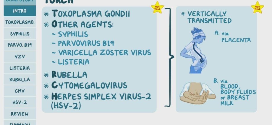 A blood test for TORCH infection should be done before pregnancy