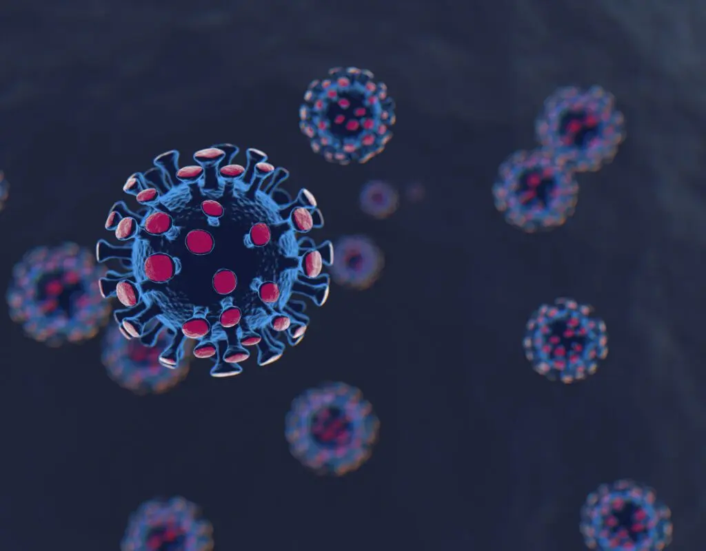 A new strain of coronavirus &#8220;delta plus&#8221; has been identified in Russia: what is known about it